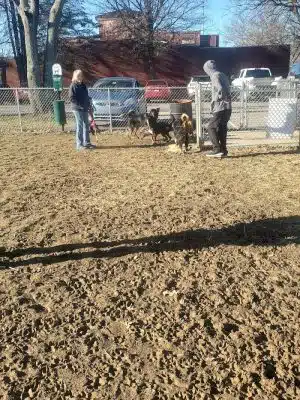 Tails on the Trail (Dog Park)
