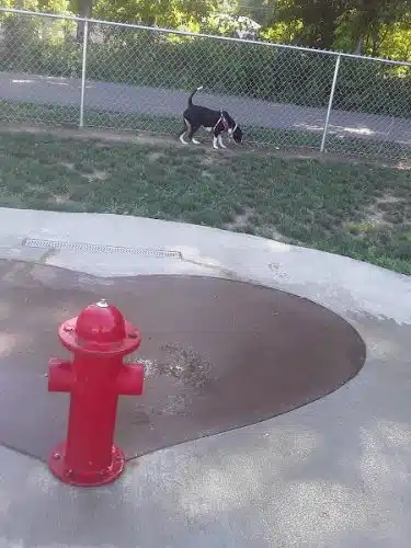 Tails on the Trail (Dog Park)