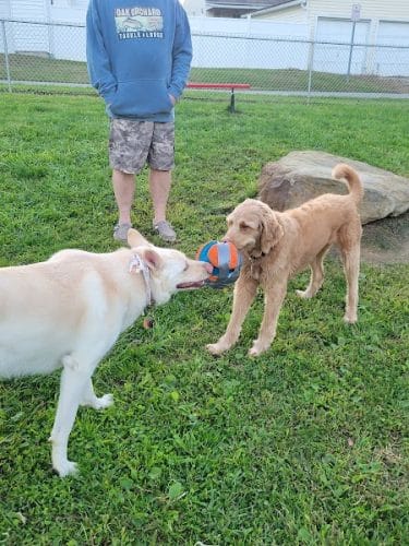 Tails on the Trail (Dog Park)