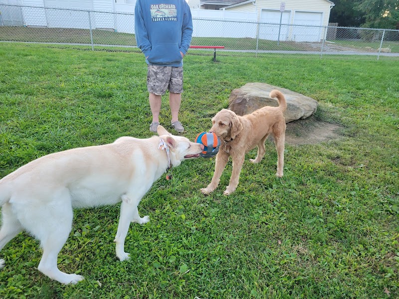 Tails on the Trail (Dog Park) - Uniontown, PA