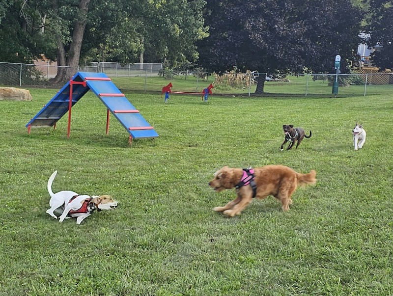 Tails on the Trail (Dog Park) - Uniontown, PA