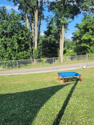 Tails on the Trail (Dog Park)