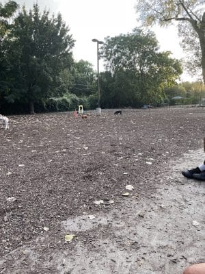 University City Dog Park (Membership Only)