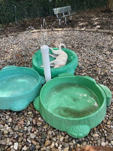 University City Dog Park (Membership Only)