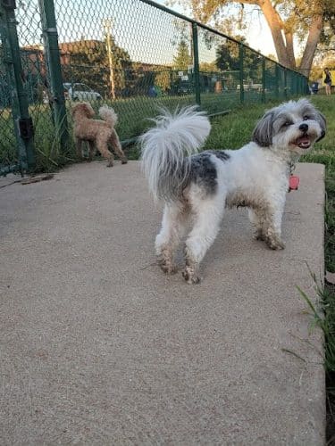 University City Dog Park (Membership Only)
