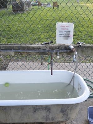 University City Dog Park (Membership Only)