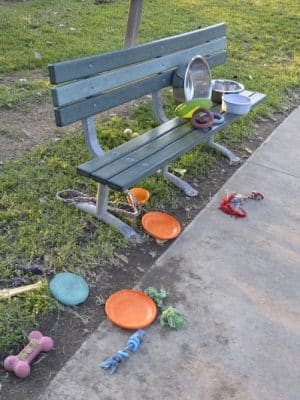 University City Dog Park (Membership Only)