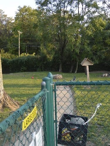 University City Dog Park (Membership Only)