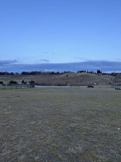 Chambers Bay Off Leash Dog Park - University Place, WA