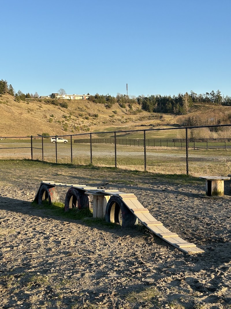 Chambers Bay Off Leash Dog Park - University Place, WA
