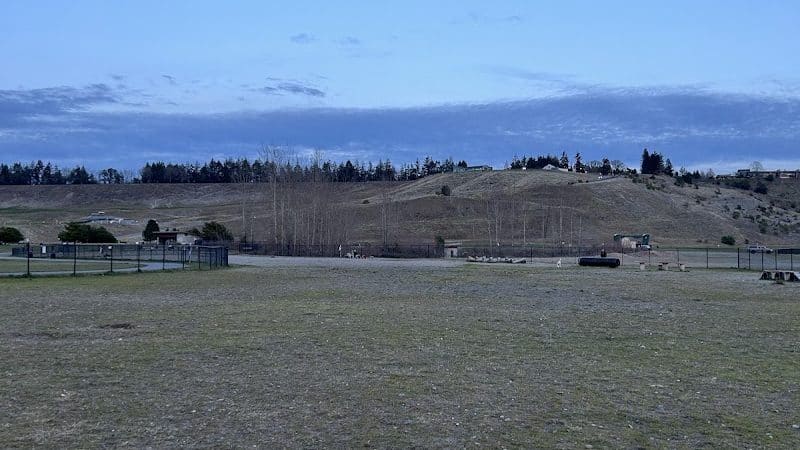 Chambers Bay Off Leash Dog Park - University Place, WA