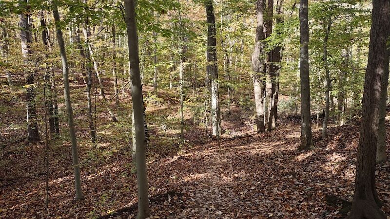 Clayton Park - Upper Freehold, NJ