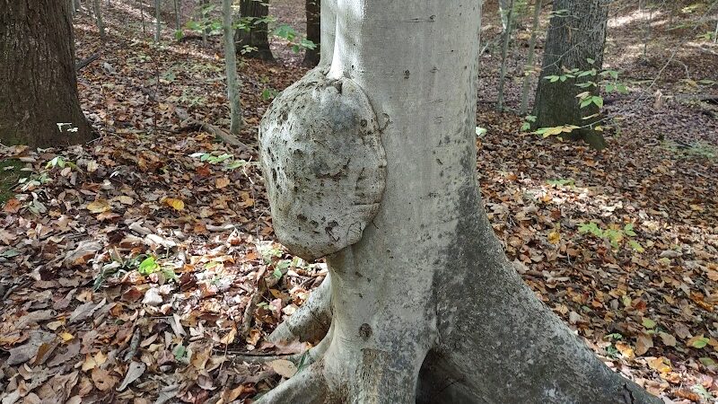 Clayton Park - Upper Freehold, NJ