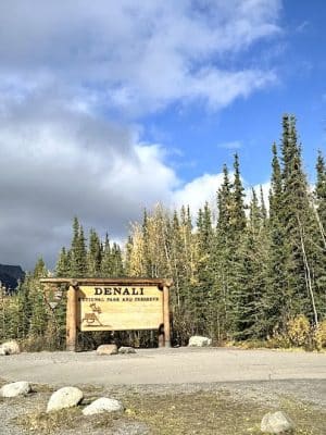 Denali National Park and Preserve