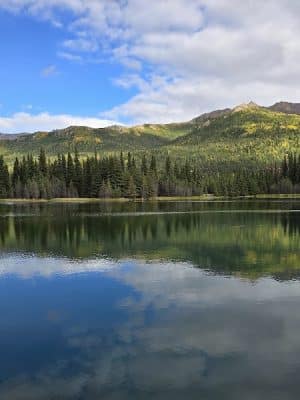 Denali National Park and Preserve
