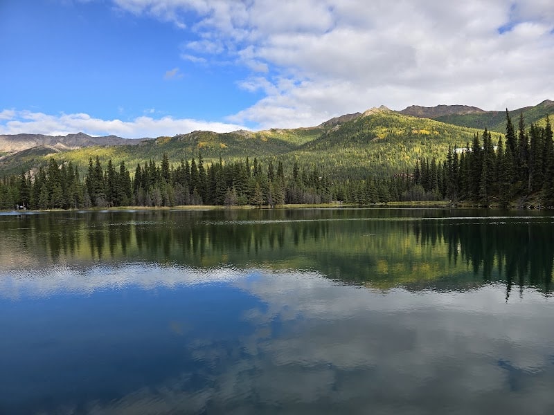 Denali National Park and Preserve - US, AK