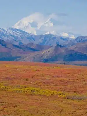 Denali National Park and Preserve