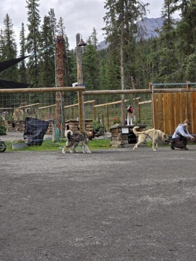 Denali National Park and Preserve - US, AK
