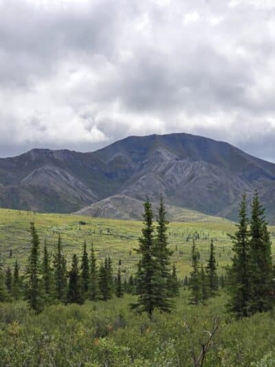 Denali National Park and Preserve - US, AK