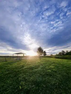 Uxbridge Dog Park