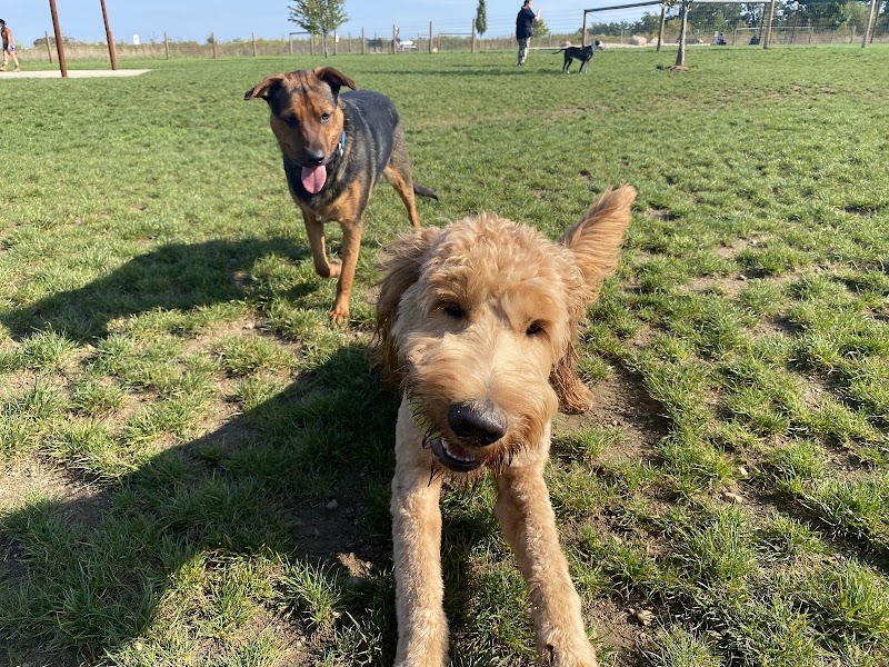 Uxbridge Dog Park - Uxbridge, MA