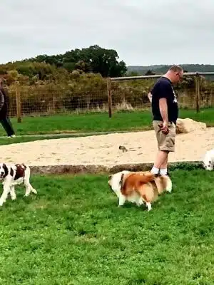Uxbridge Dog Park