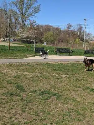 Uxbridge Dog Park