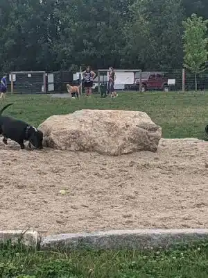 Uxbridge Dog Park