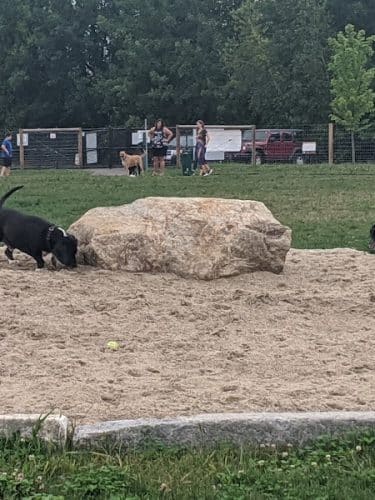 Uxbridge Dog Park