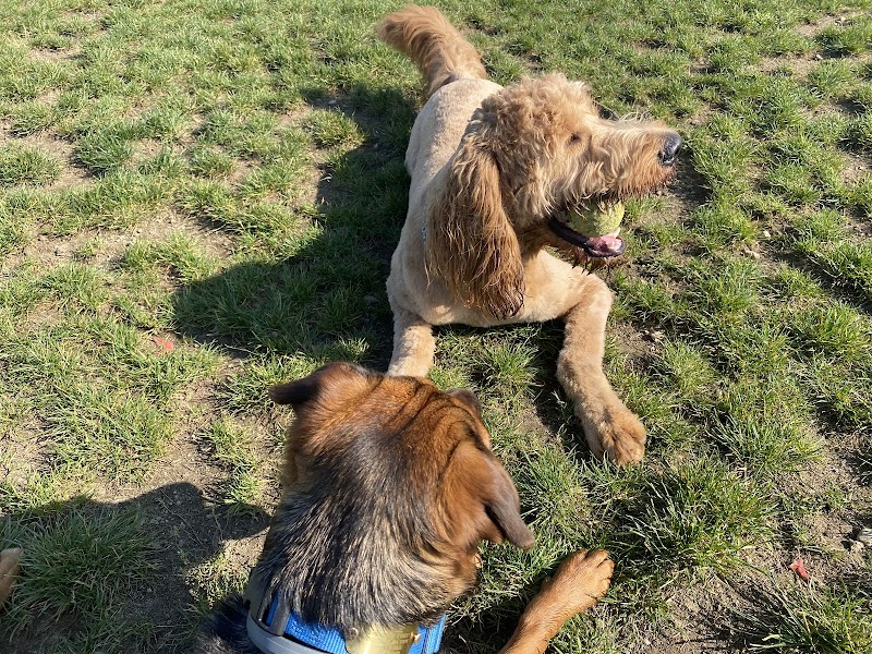 Uxbridge Dog Park - Uxbridge, MA