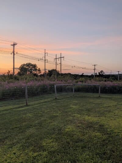 Uxbridge Dog Park - Uxbridge, MA