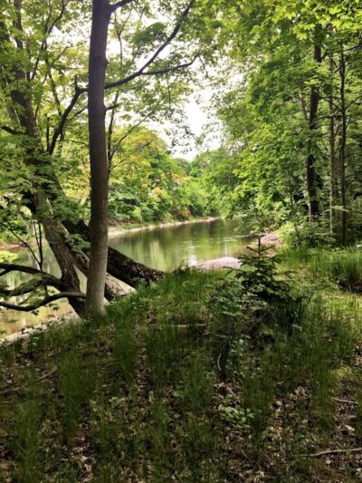 Pachaquack Preserve - Valatie, NY