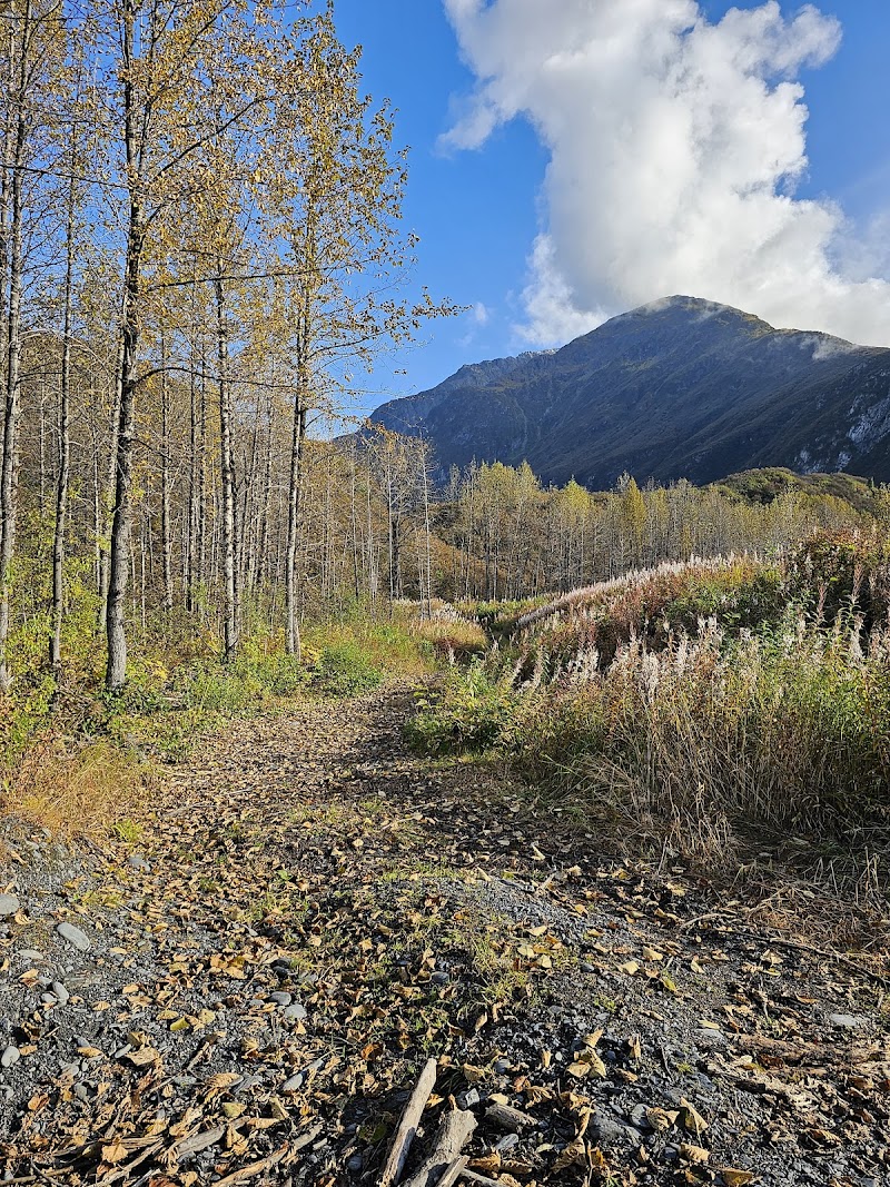 Mineral Creek Trailhead - Valdez, AK