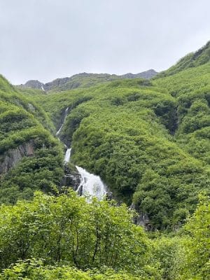 Mineral Creek Trailhead