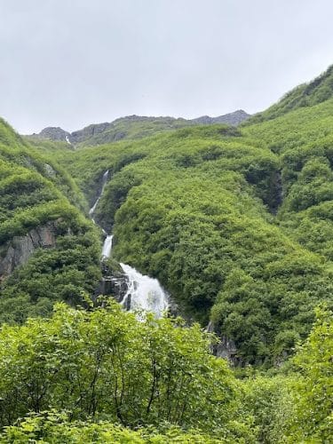 Mineral Creek Trailhead