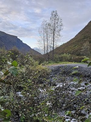 Mineral Creek Trailhead