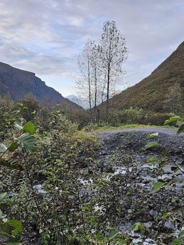 Mineral Creek Trailhead