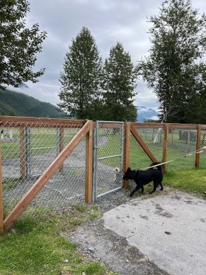 Valdez Dog Park