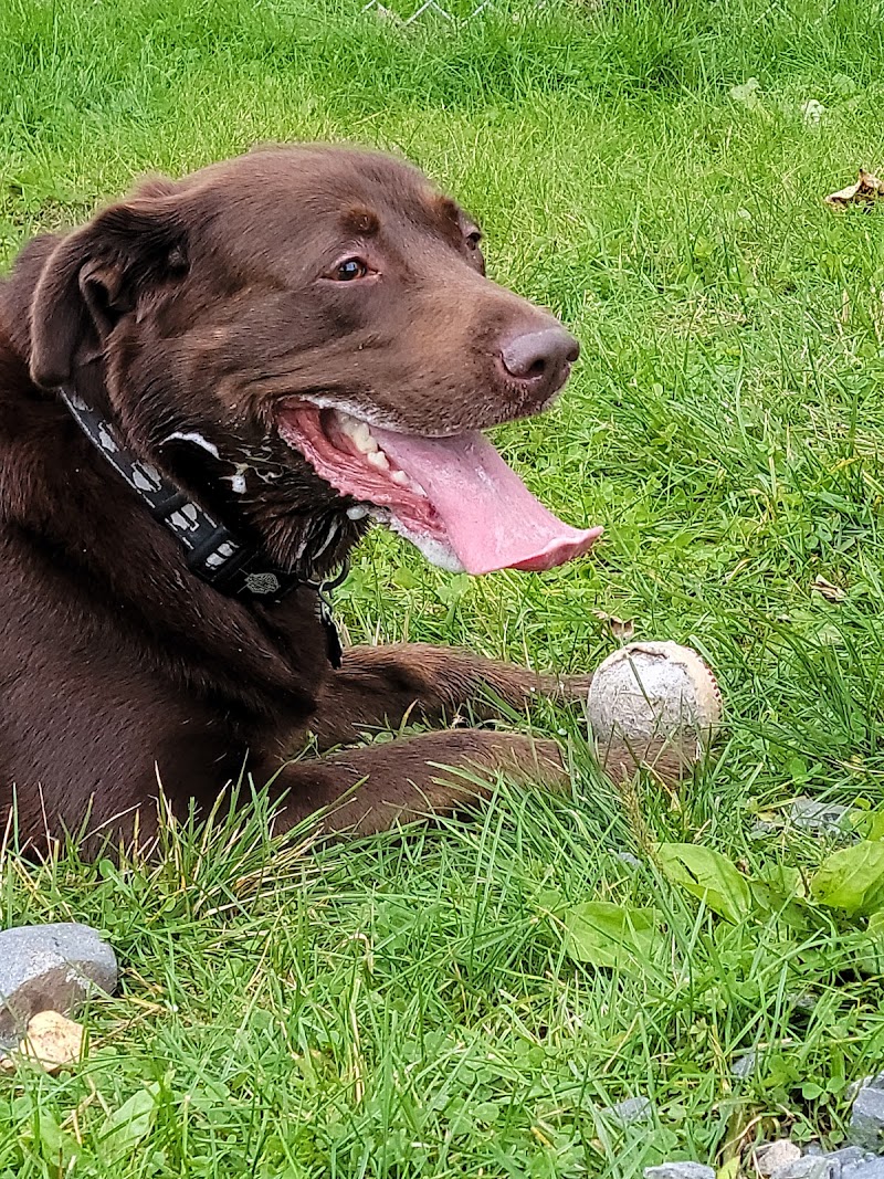 Valdez Dog Park - Valdez, AK