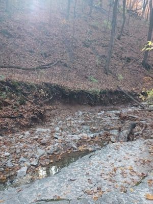 Johnson Trail