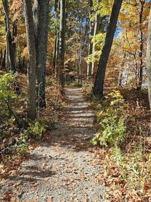 Johnson Trail