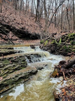 Salt Lick Point and Water Reserve Trailhead