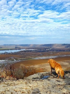 Salt Lick Point Land And Water Reserve