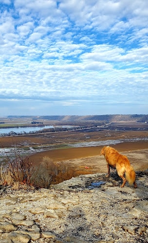 Salt Lick Point Land And Water Reserve