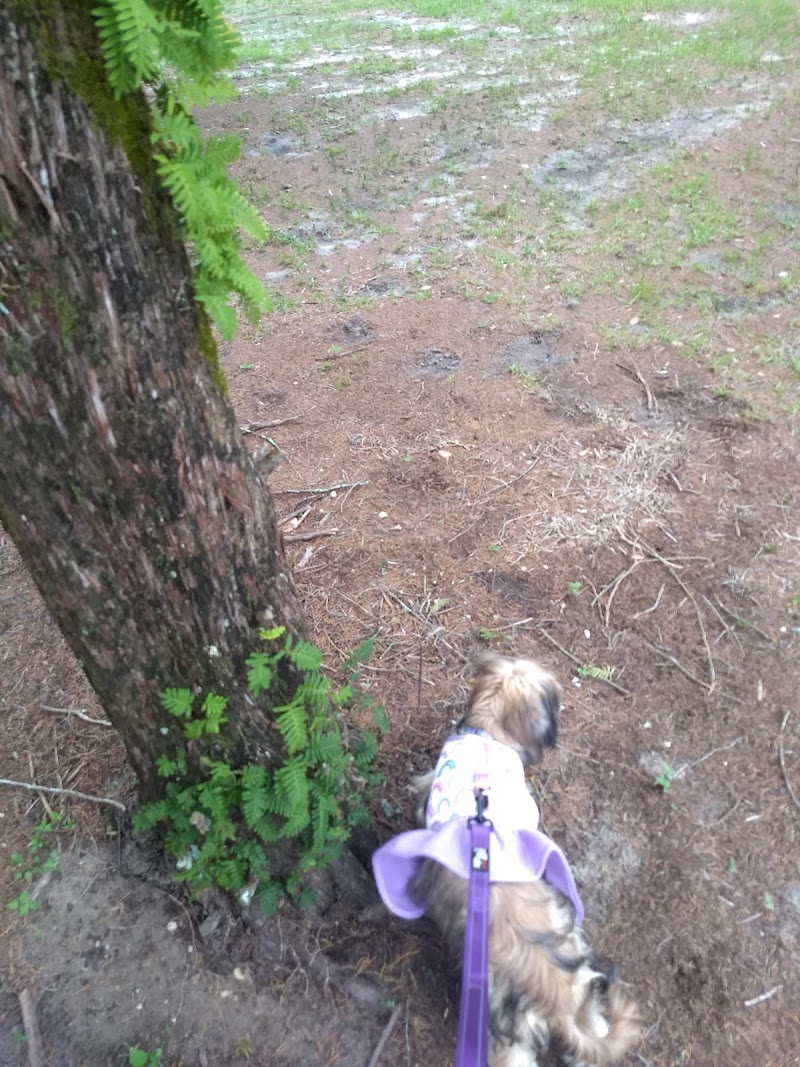 Stearns Road Park - Valrico, FL