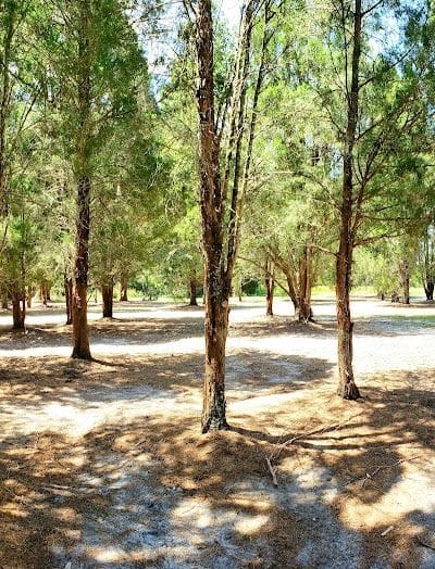Stearns Road Park - Valrico, FL
