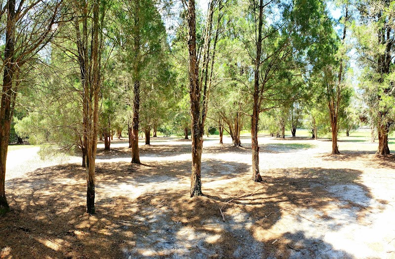 Stearns Road Park - Valrico, FL