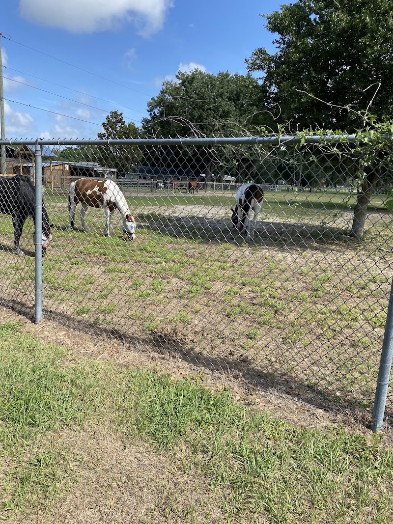 Stearns Road Park - Valrico, FL