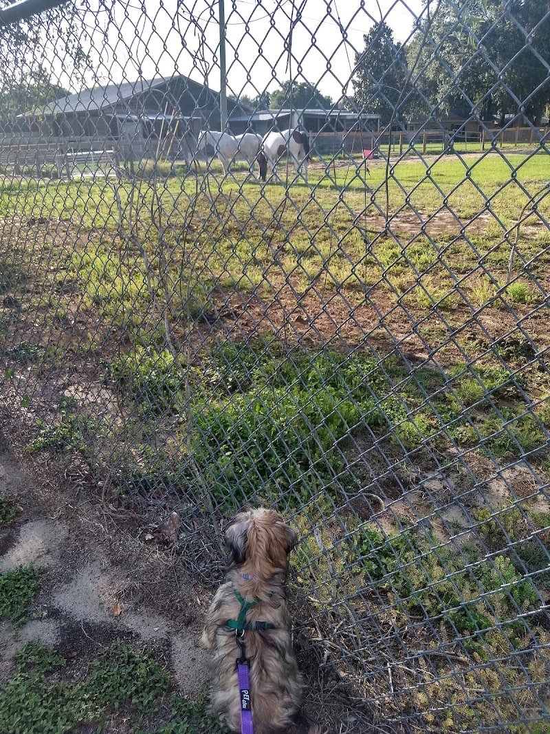 Stearns Road Park - Valrico, FL