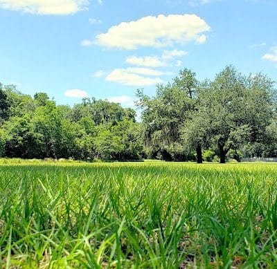 Stearns Road Park - Valrico, FL